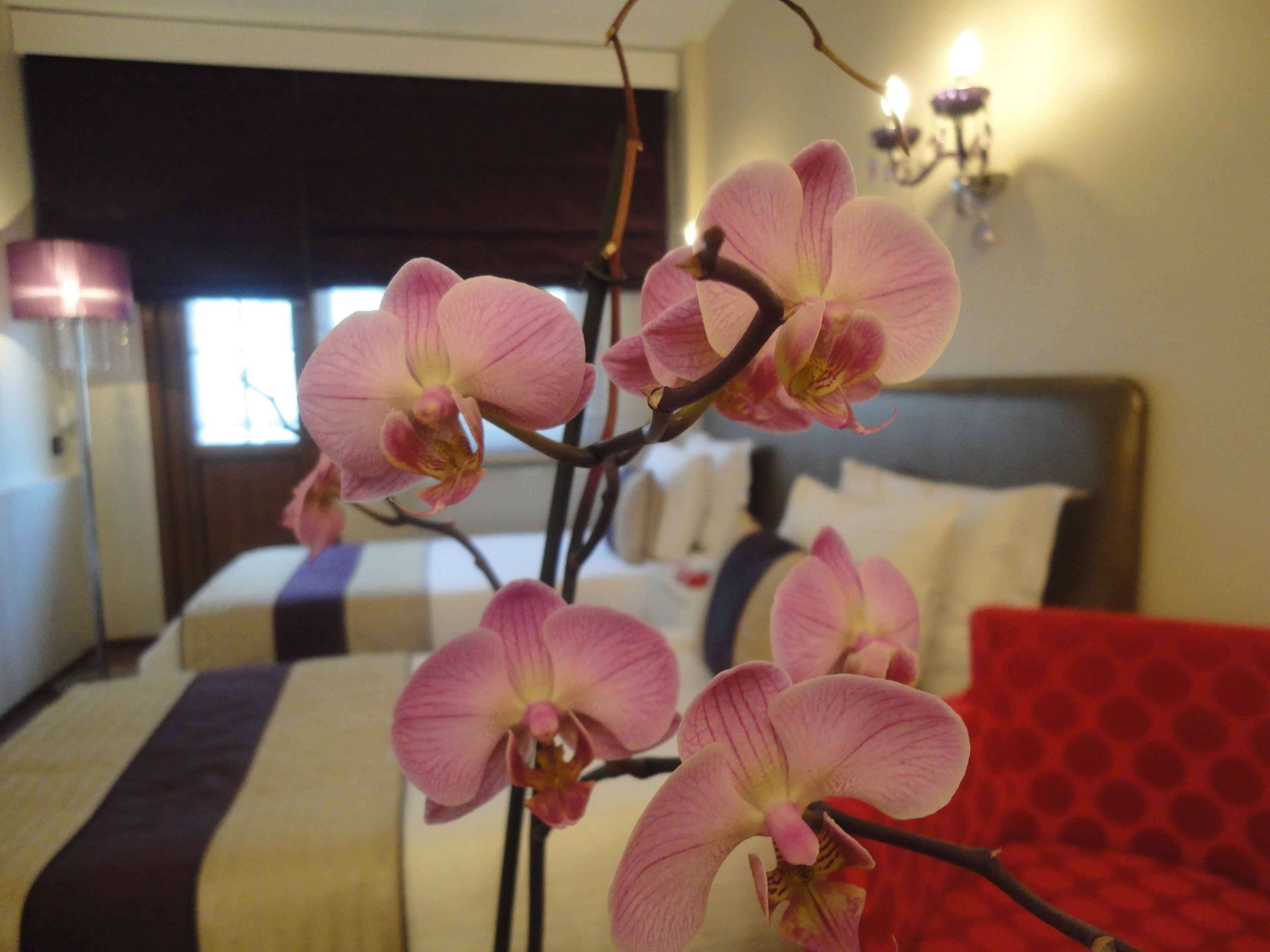 Bakirkoy Tashan Business & Airport Hotel — Foto’s 3